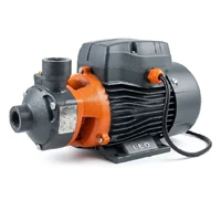 پمپ آب  یک اسب محیطی لئو مدل APm75