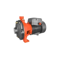 پمپ آب دو اسب دوپروانه لئو مدل 2ACM150H